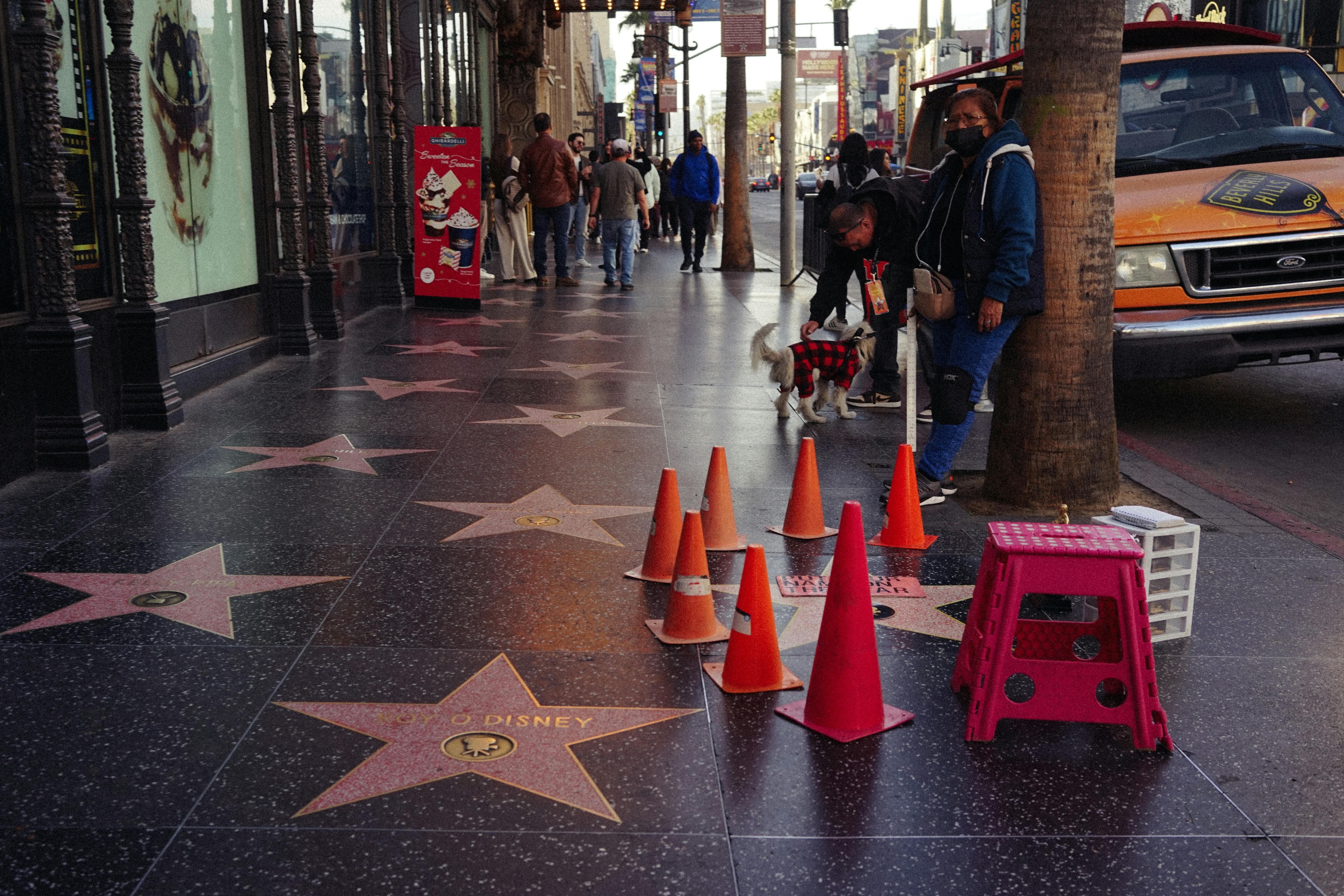Hollywood Walk of Fame - Entertainment attraction in Los Angeles